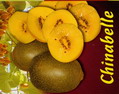 ACTINIDIA chinensis Chinabelle ®