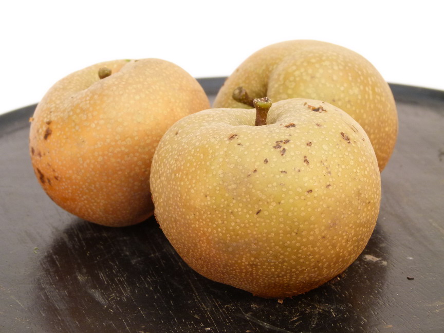 NASHI Kumoi Pommepoire, poire orientale, poire asiatique, poire