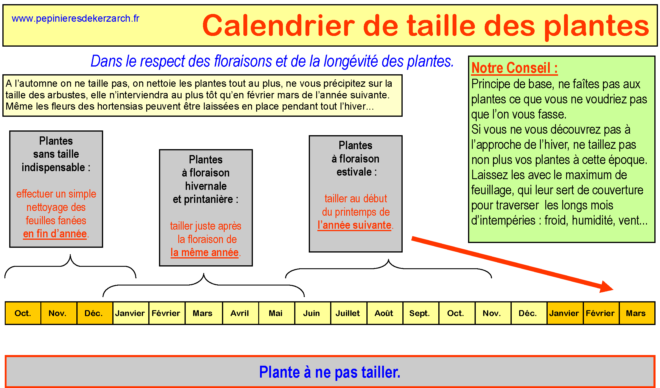 Aucune taille n'est nécessaire