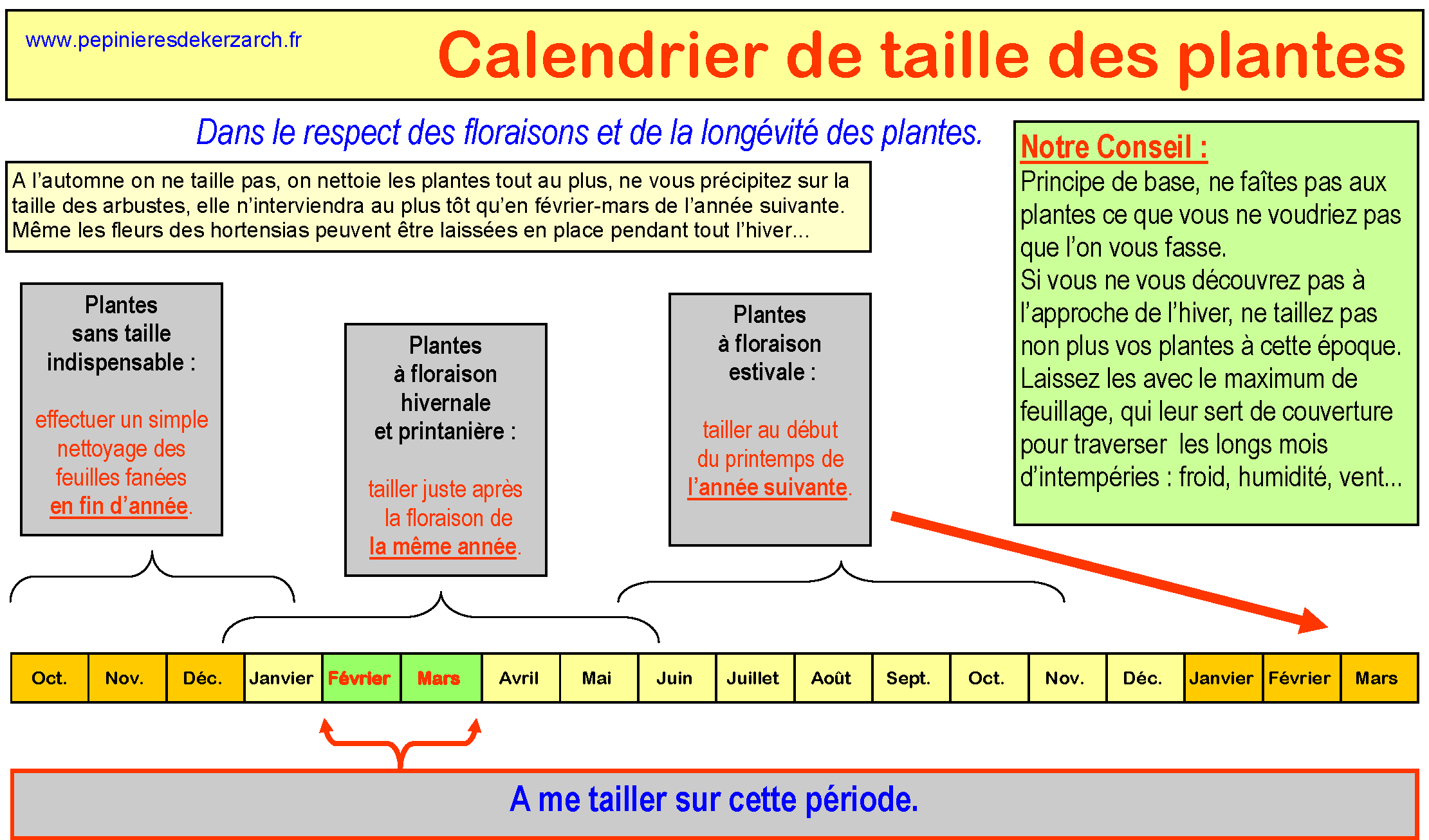 Taille en février-mars