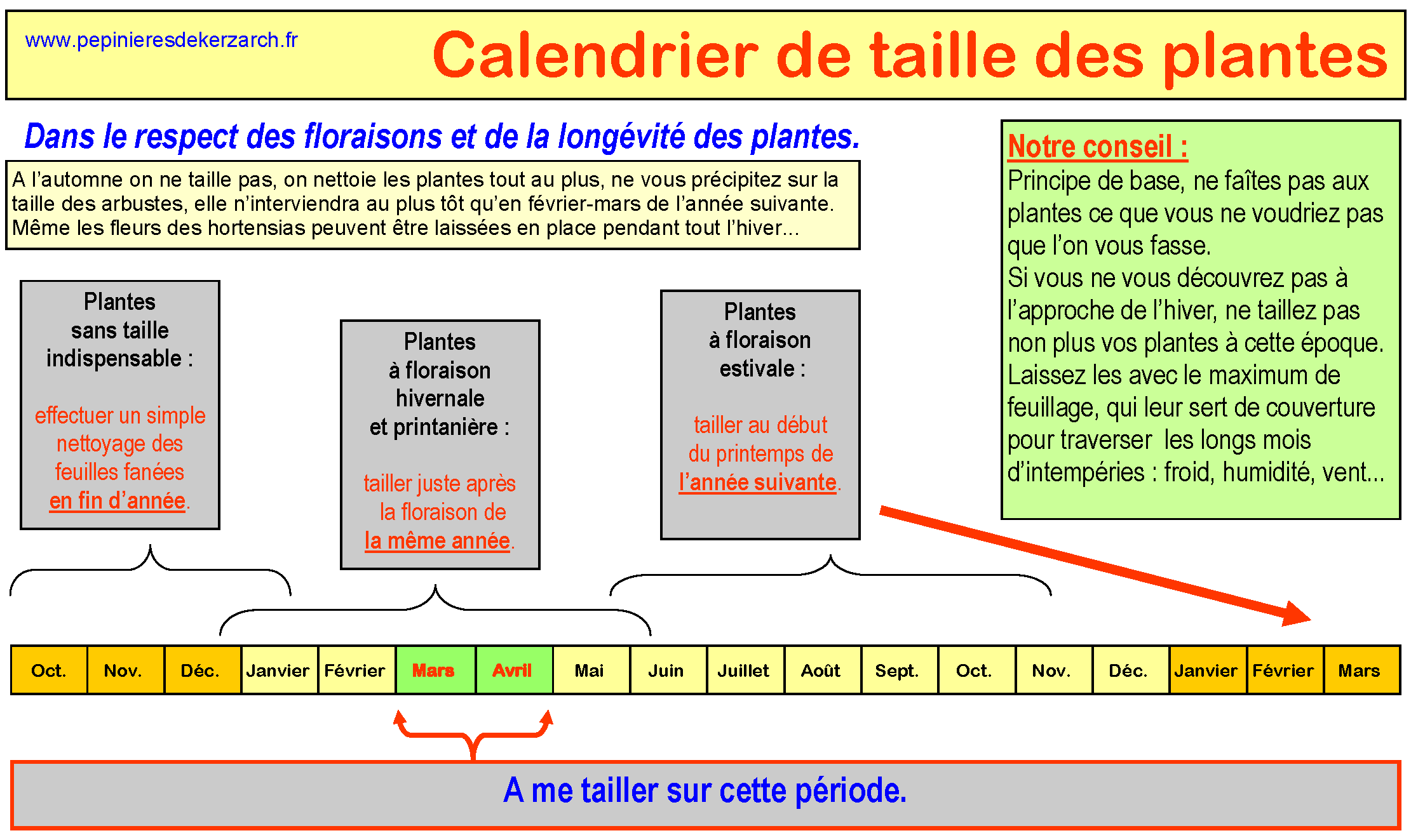 Taille en mars-avril