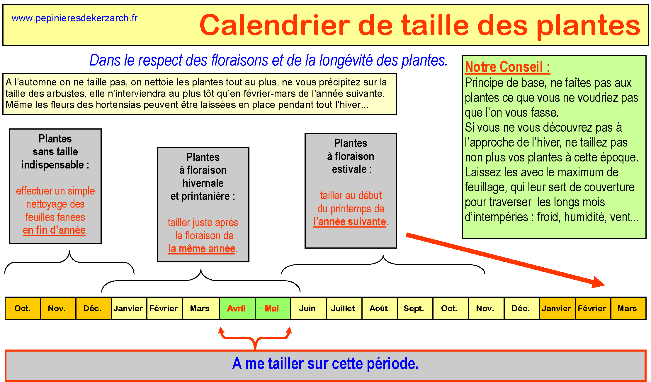 Taille en avril-mai